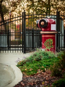 Hydrant_Edison Park_Photo 1 (600x800)