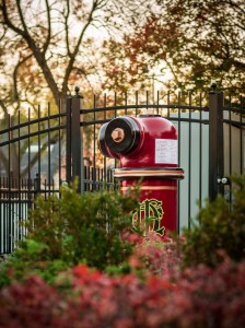 Hydrant_Edison Park_Photo 2 (599x800)