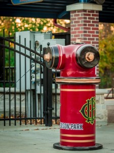 Hydrant_Edison Park_Photo 3 (600x800)